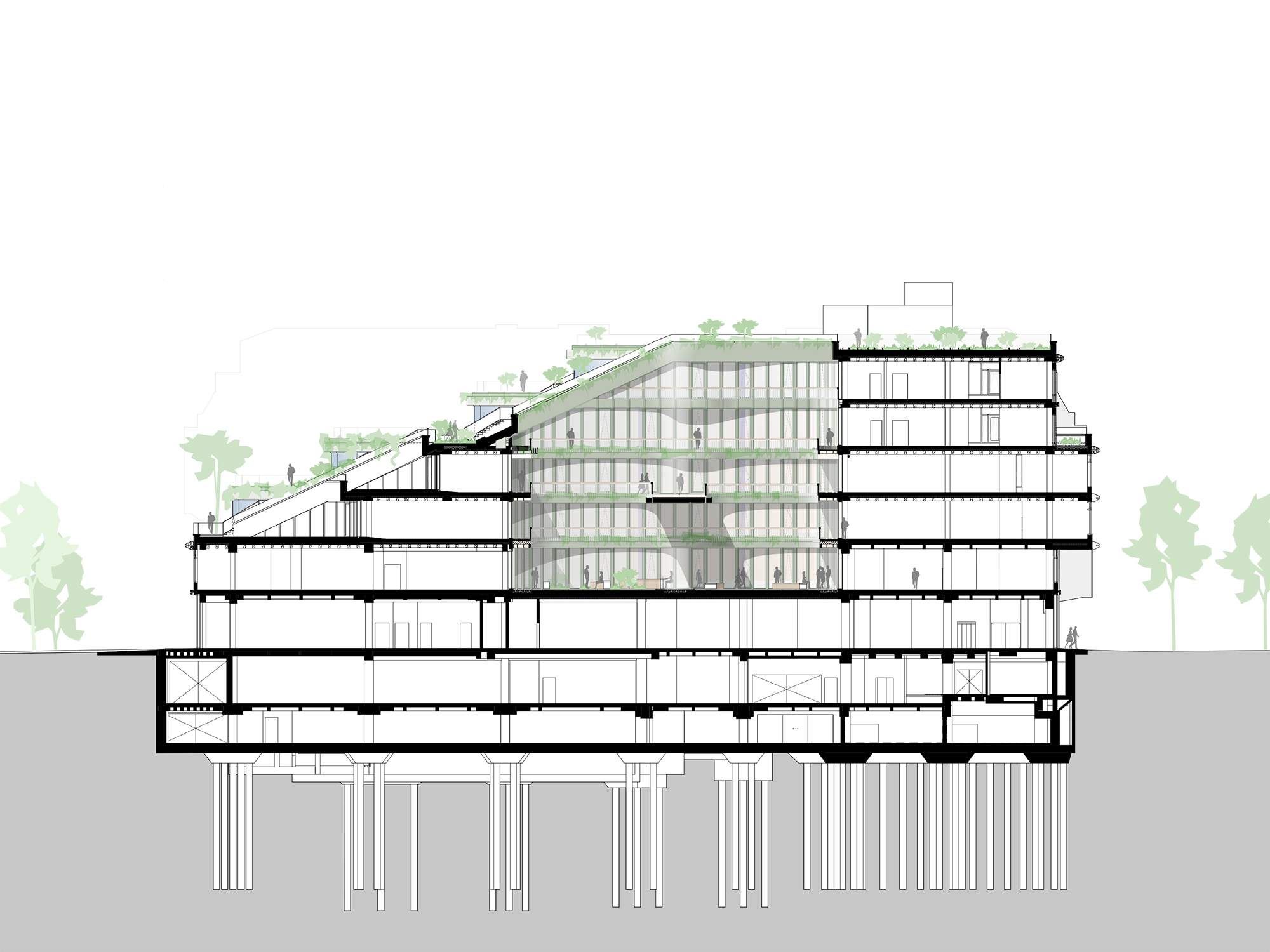 Oliv Architekten Koenigstrasse Längsschnitt